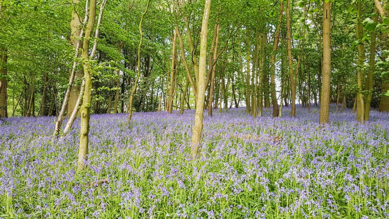 Отель High Oaks Grange - Glamping Пикеринг Экстерьер фото